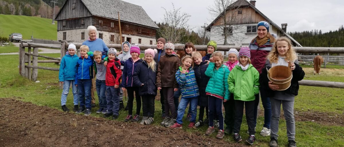 Permalink auf:Mit dem Flachs durchs ganze Jahr (Anbau von Samen) Permalink auf:Mit dem Flachs durchs ganze Jahr (Anbau von Samen)
